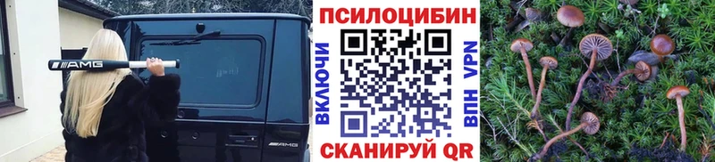 Купить закладки  Нижний Ломов  Галлюциногенные грибы Cubensis 